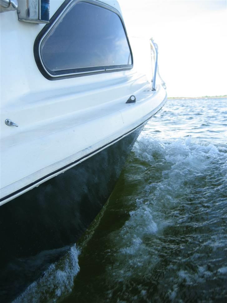Shetland Sealark No.: 587 billede 16