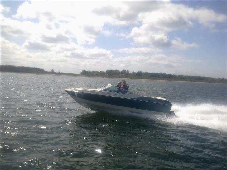 Wellcraft 170 classic billede 1