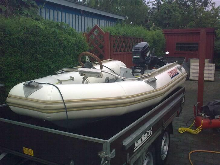 Rib Narwhal   billede 7