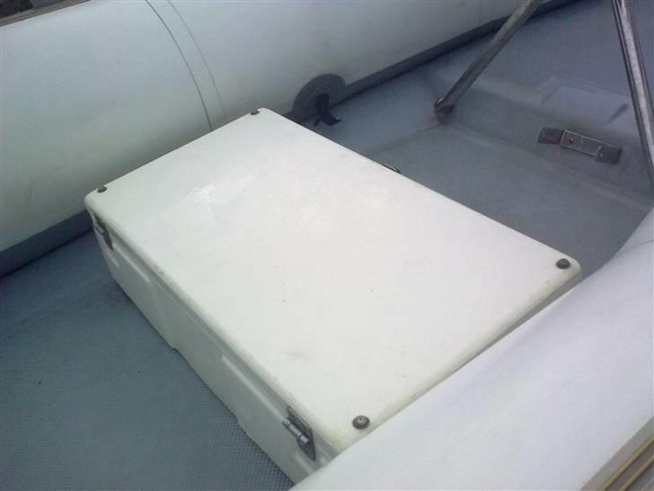 Rib Narwhal   billede 10