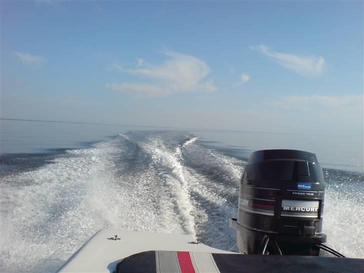 Mustang WaveRider - Fantastisk dag på Ringkøbing Fjord i slutningen af Septemper 2009 billede 12