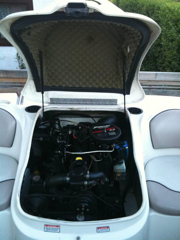 Sea Ray 176 SR (SOLGT) billede 4