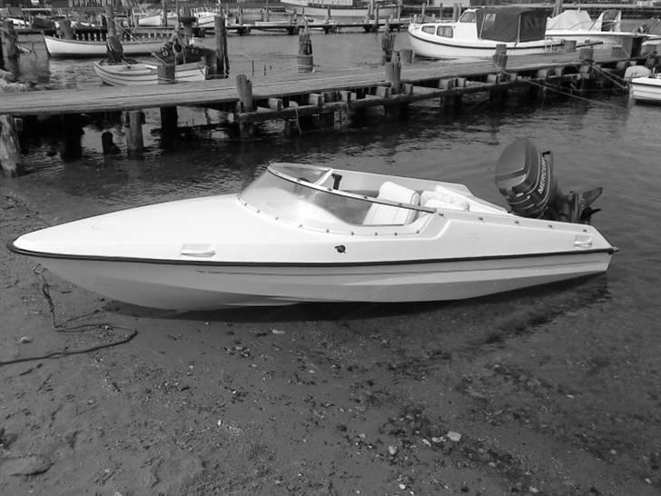 Marina dolphin solgt billede 1