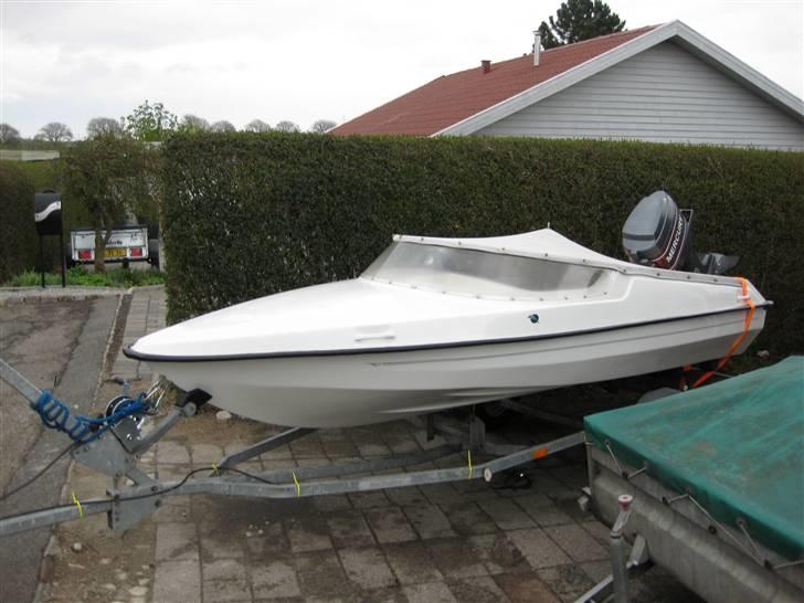 Marina dolphin solgt billede 6
