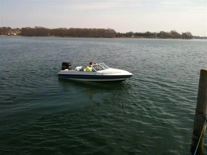 Campion Allante 160 CD billede 5