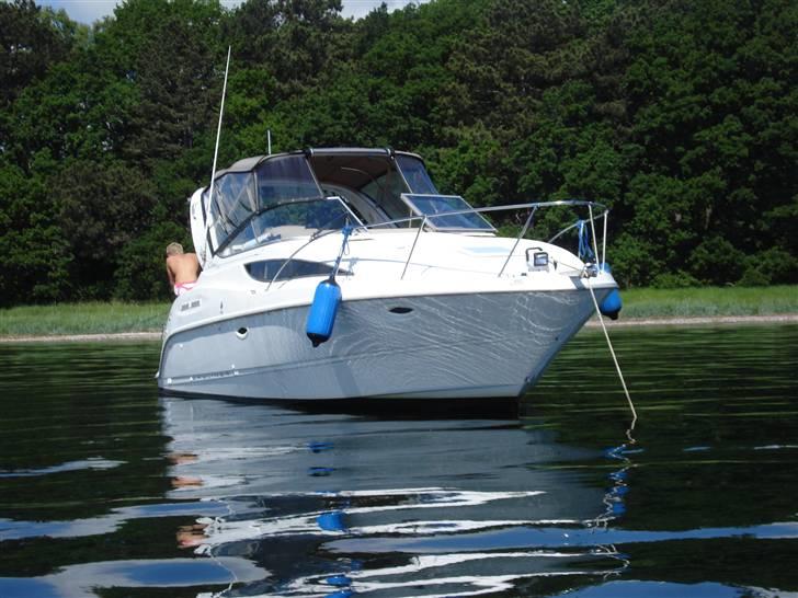 Bayliner 2855 Ciera lx billede 10