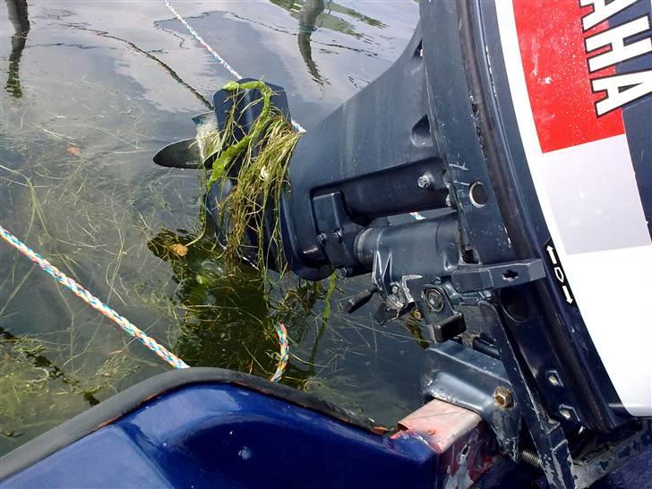 Rana Plast 13 (Solgt) billede 10