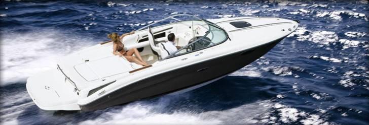 Sea Ray 240 Sun Sport billede 12