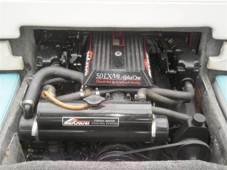 Campion Allante 195 billede 7