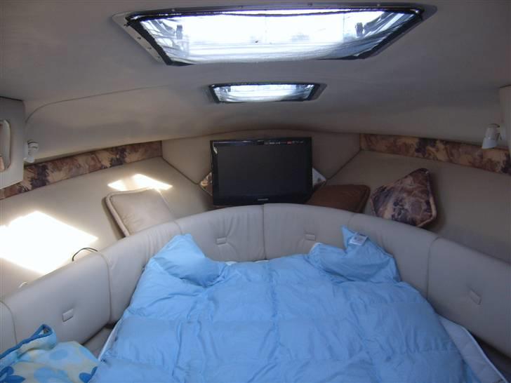 Chaparral 270 signature billede 4