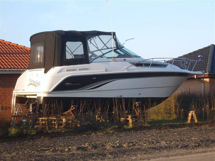 Chaparral 270 signature billede 15