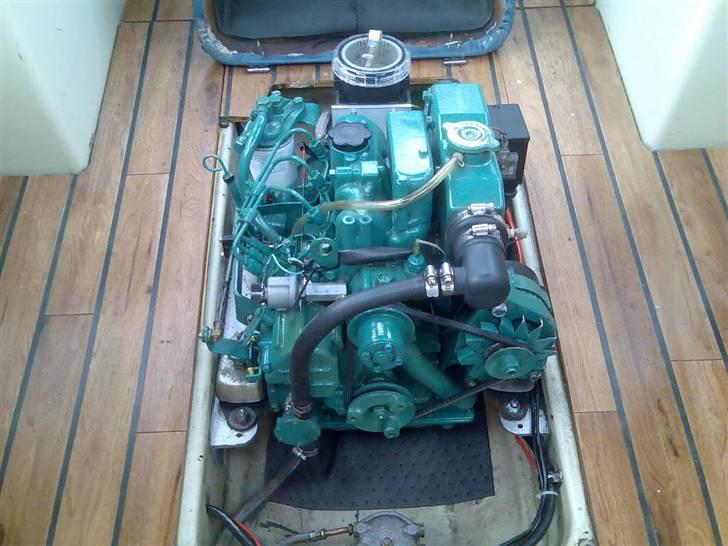 Fjord Nordik - Volvo Penta MD2020B billede 2