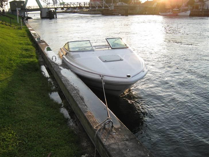 Sea Ray 200 OV LTD - Hun ligger godt i vandet billede 1