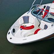 Sea Ray 185 sport (til salg)