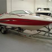 Sea Ray 185 sport (til salg)