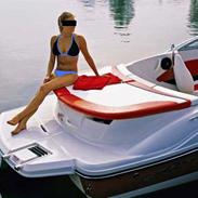 Sea Ray 185 sport (til salg)