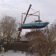 Shetland sealark