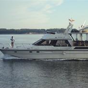 Princess President 49"