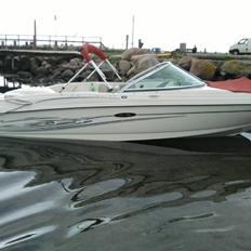 Sea Ray 180 sport