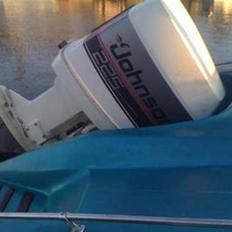 Glastron Carlson CVX 20