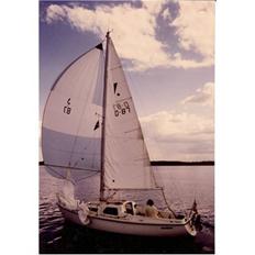 Junker 22