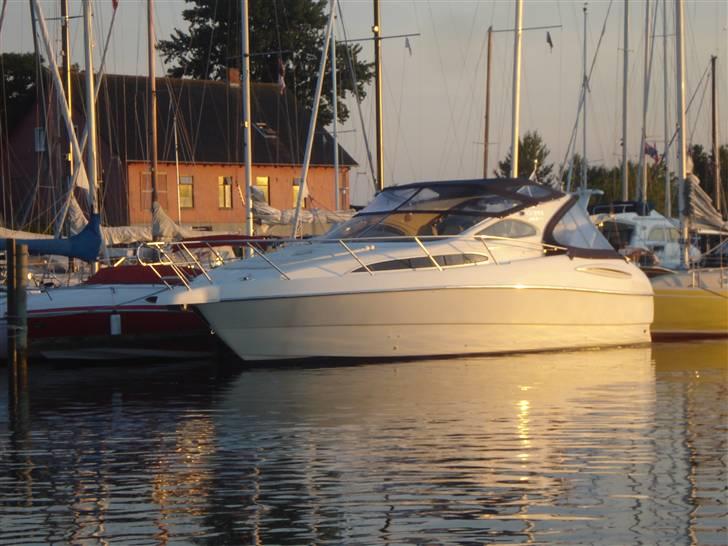 Azimut Gobbi 365 sc - Aften i nordsminde. billede 1