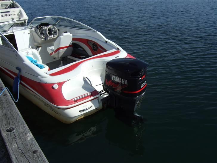 Campion 565 Allante (solgt) billede 4