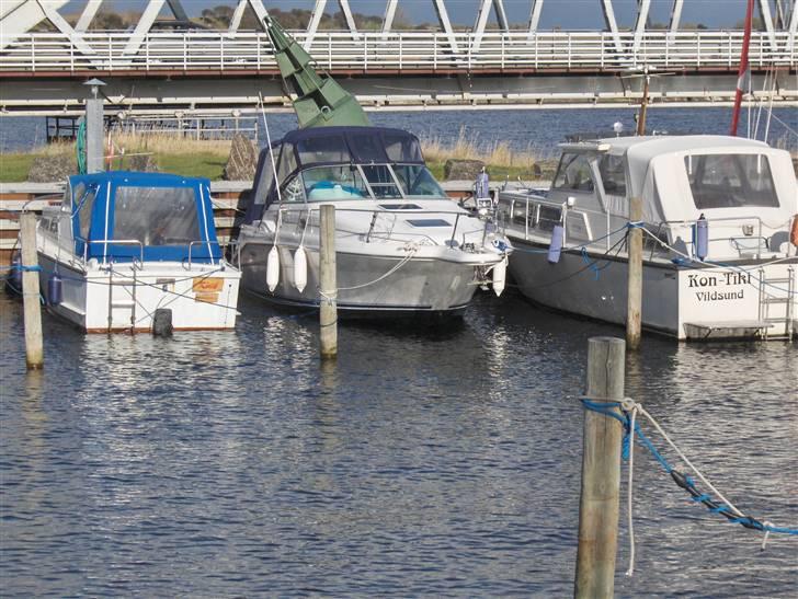 Sea Ray sundancer billede 4