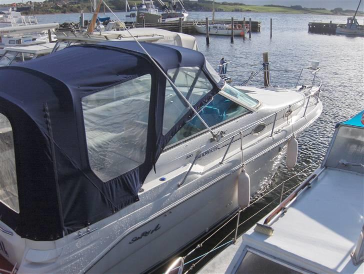 Sea Ray sundancer billede 5