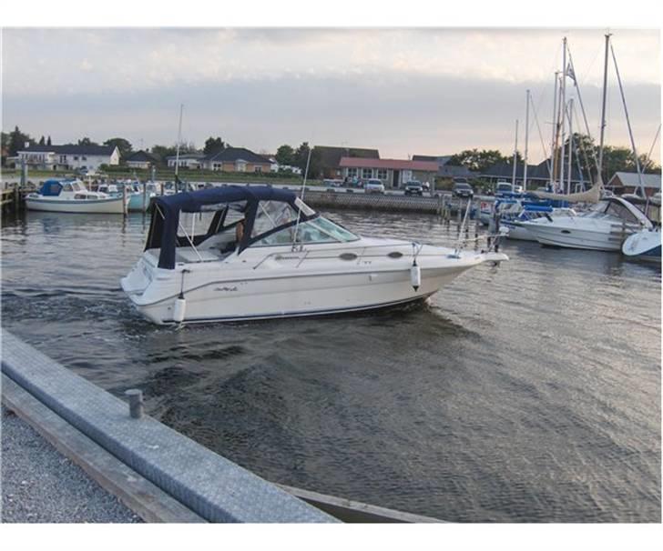 Sea Ray sundancer billede 6
