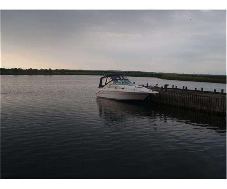 Sea Ray sundancer billede 7