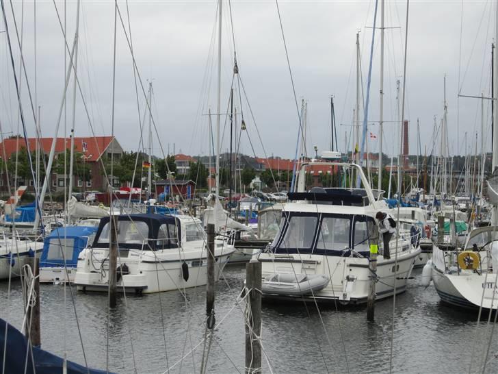 Nimbus 4004 (solgt) - 31Ultima og 4004 i Åbenrå billede 4