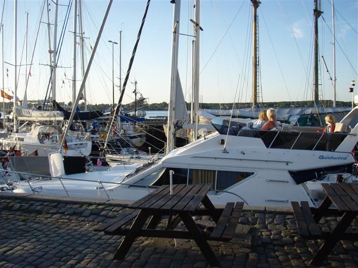 Birchwood TS 34 - Middelfart Gl. Havn, sommer 2010.  billede 15
