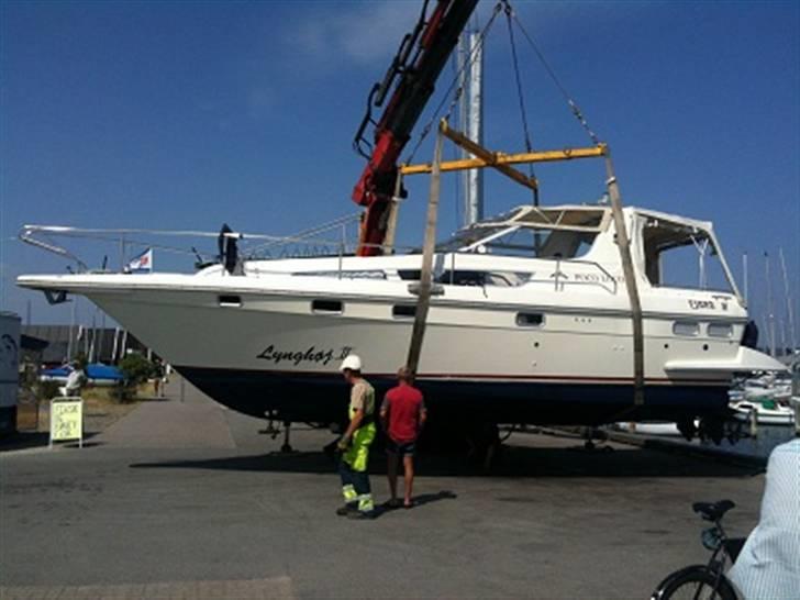 Fjord Dolphin 1200 billede 8