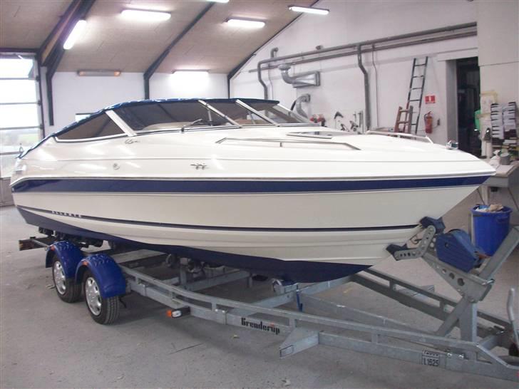 Campion Allante 615 VRi CC billede 1
