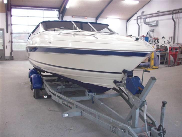 Campion Allante 615 VRi CC billede 2