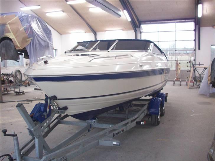 Campion Allante 615 VRi CC billede 3