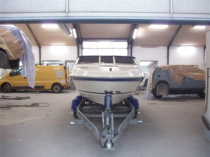 Campion Allante 615 VRi CC billede 4