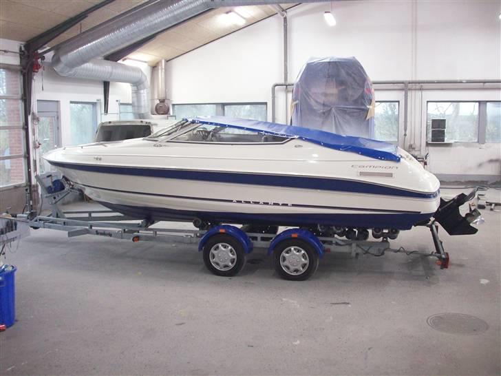 Campion Allante 615 VRi CC billede 5