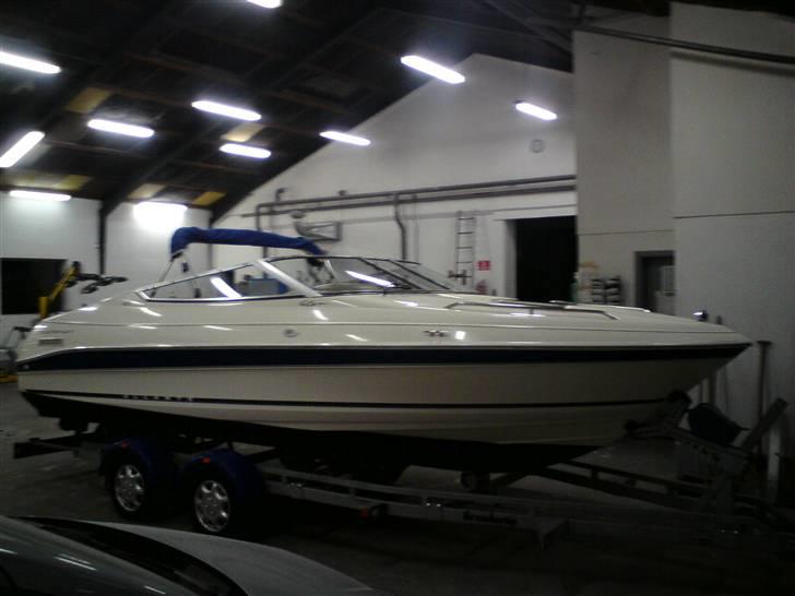Campion Allante 615 VRi CC billede 10