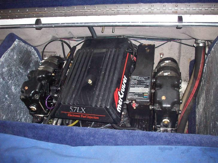 Campion Allante 615 VRi CC billede 16