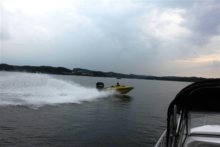 Mustang Magna Waverider   - rolig roglig kammerat billede 18