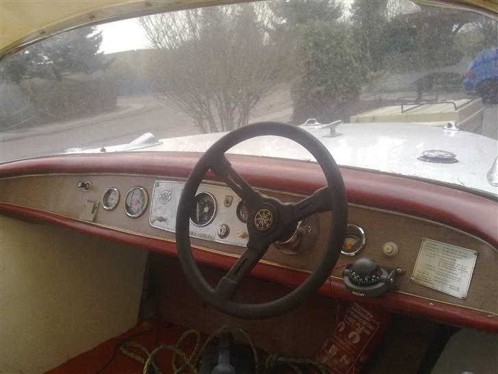 Mustang ved ikke billede 2