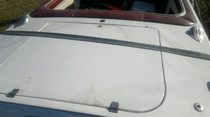Mustang ved ikke billede 5