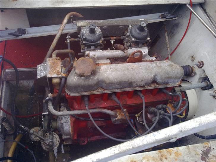 Mustang ved ikke billede 6