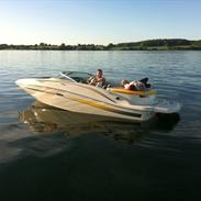 Sea Ray 185 sport