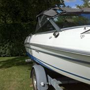 Sea Ray 170