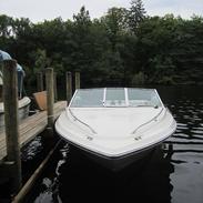 Sea Ray 185