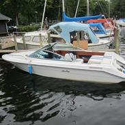 Sea Ray 185