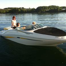 Sea Ray 185 sport